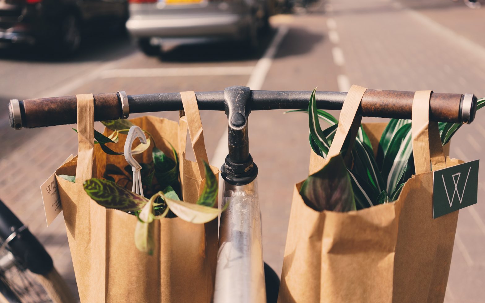 En la imagen se observa dos bolsas de papel café con plantas en su interior, colgadas en el manubrio de una bicicleta